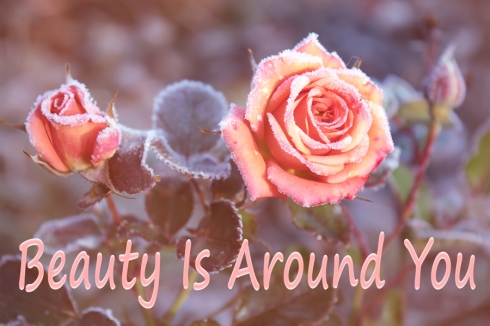 Beauty Is Around You